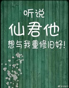 听说,仙君他想与我重修旧好!