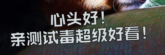 心頭好！親測試毒超級好看！